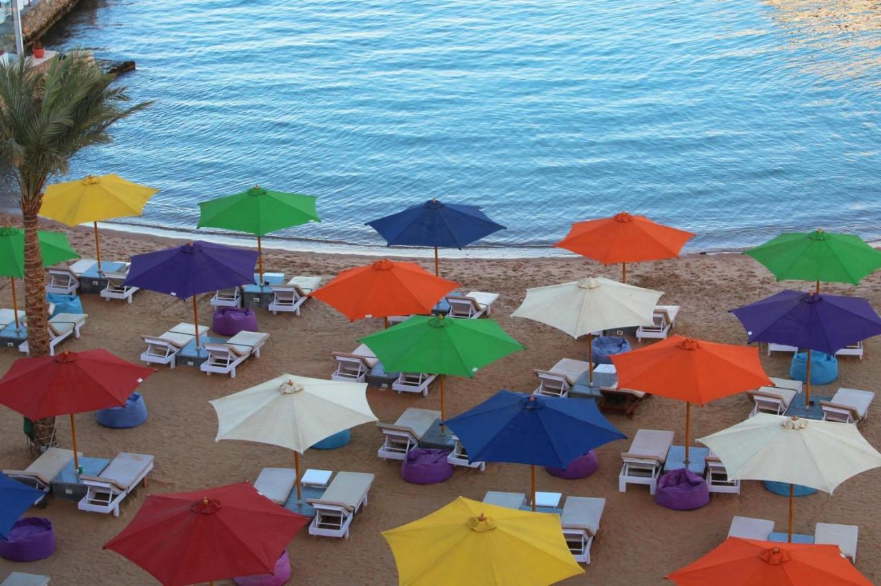 Shellghada Blue Beach 洪加達 外观 照片